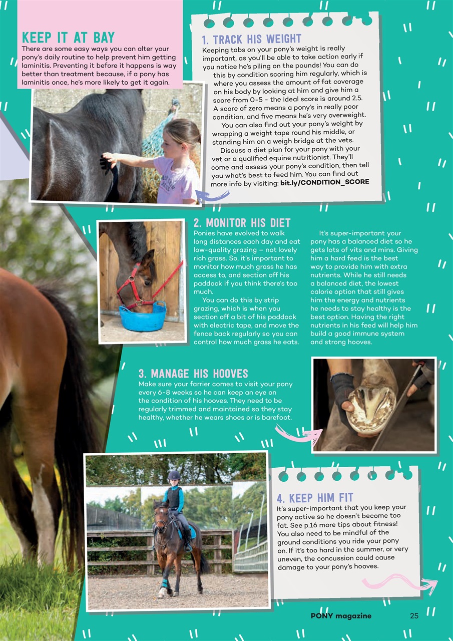 Pony Magazine Preview Pages