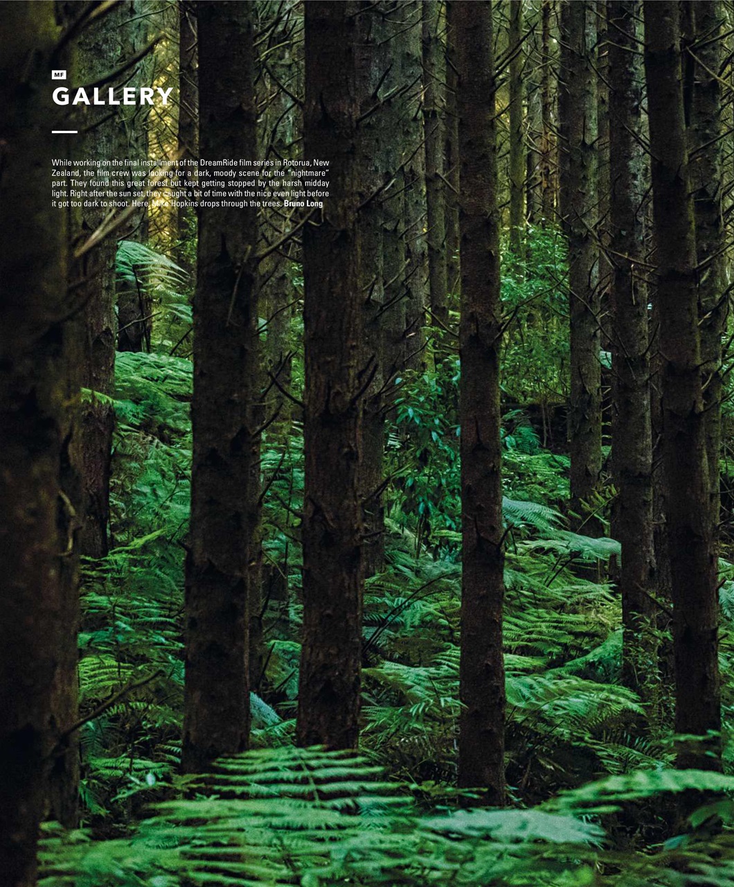 Mountain Flyer Preview Pages