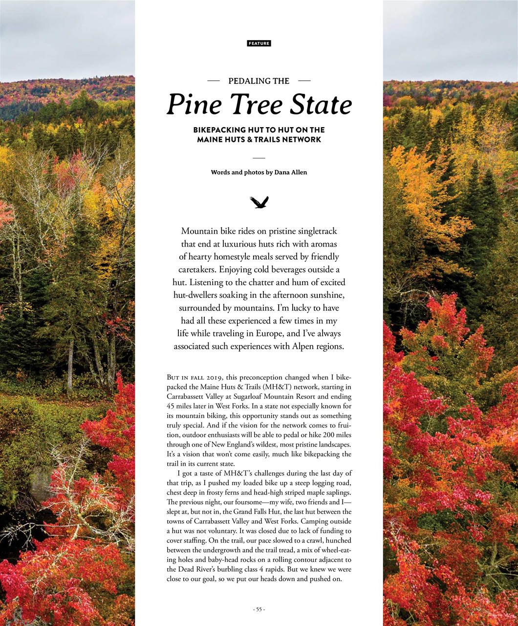 Mountain Flyer Preview Pages