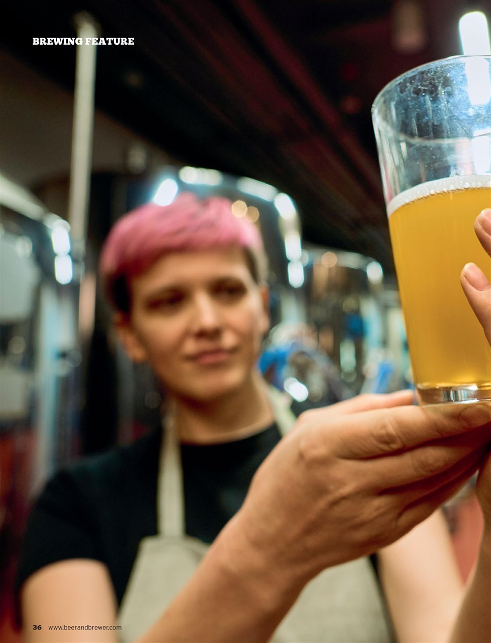 Beer and Brewer Preview Pages