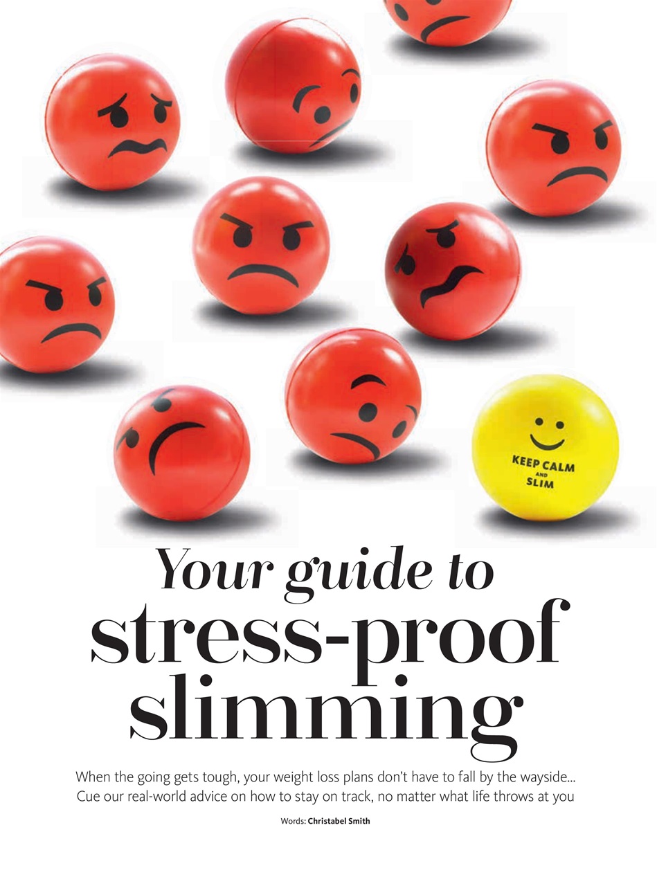 Slimming World Preview Pages