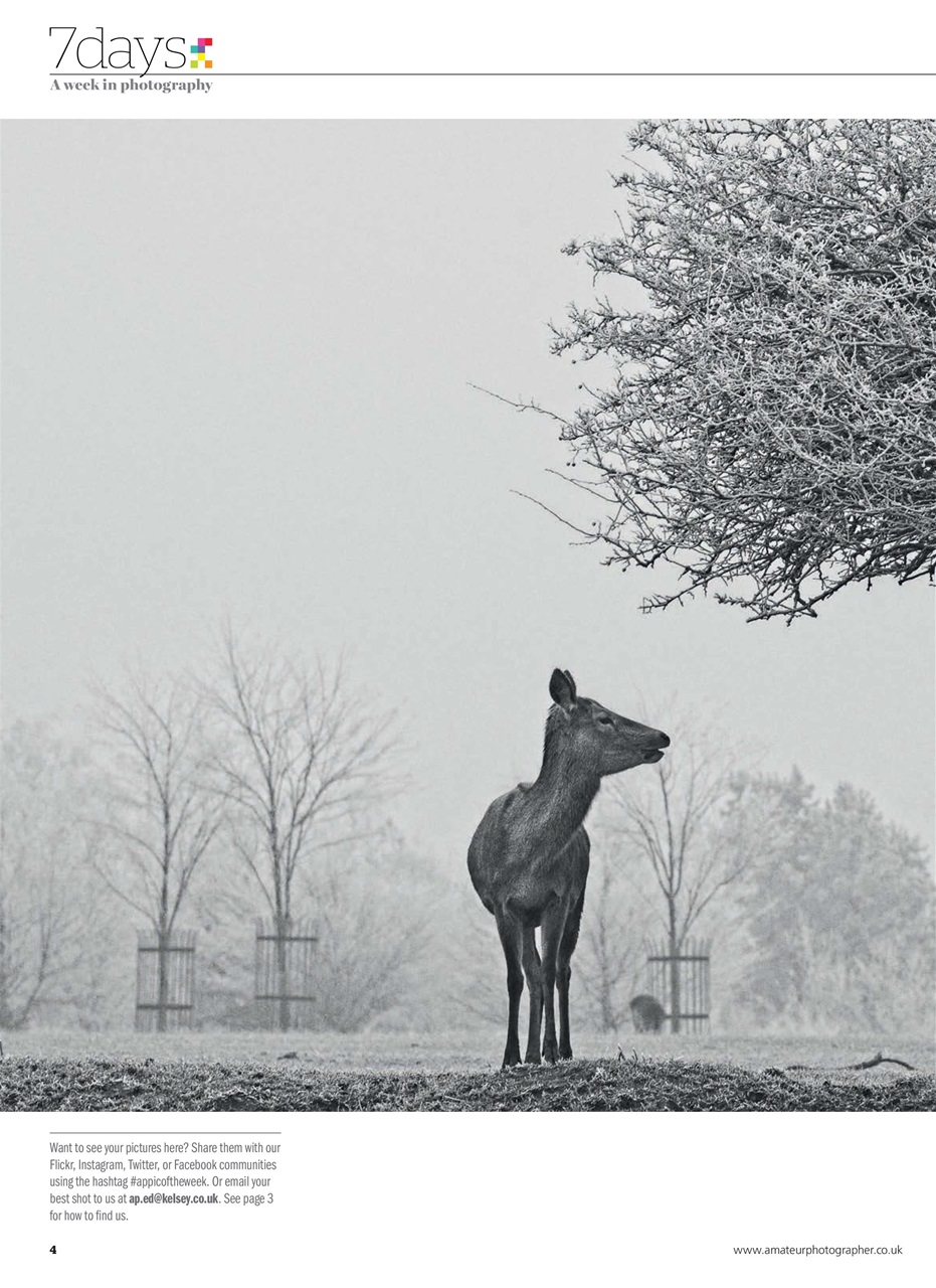Amateur Photographer Preview Pages