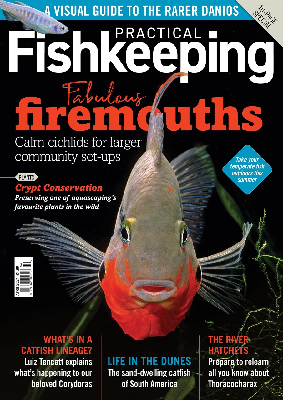 Practical Fishkeeping Preview Pages
