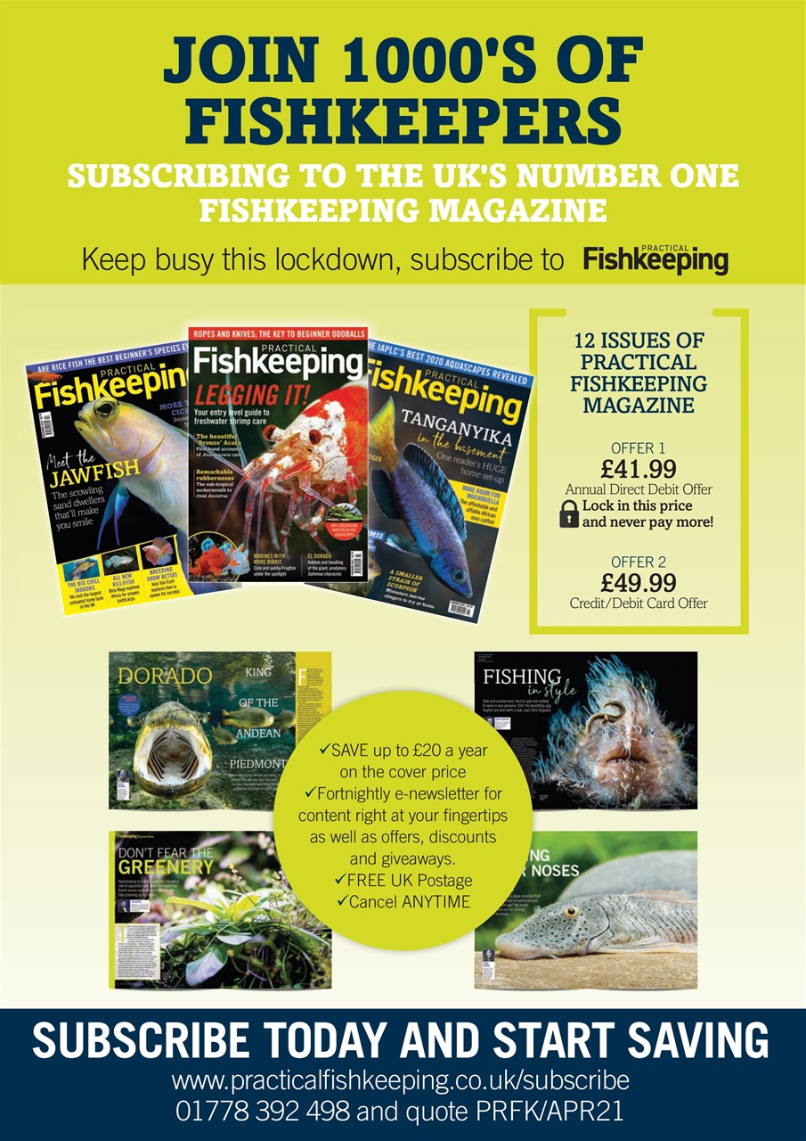 Practical Fishkeeping Preview Pages