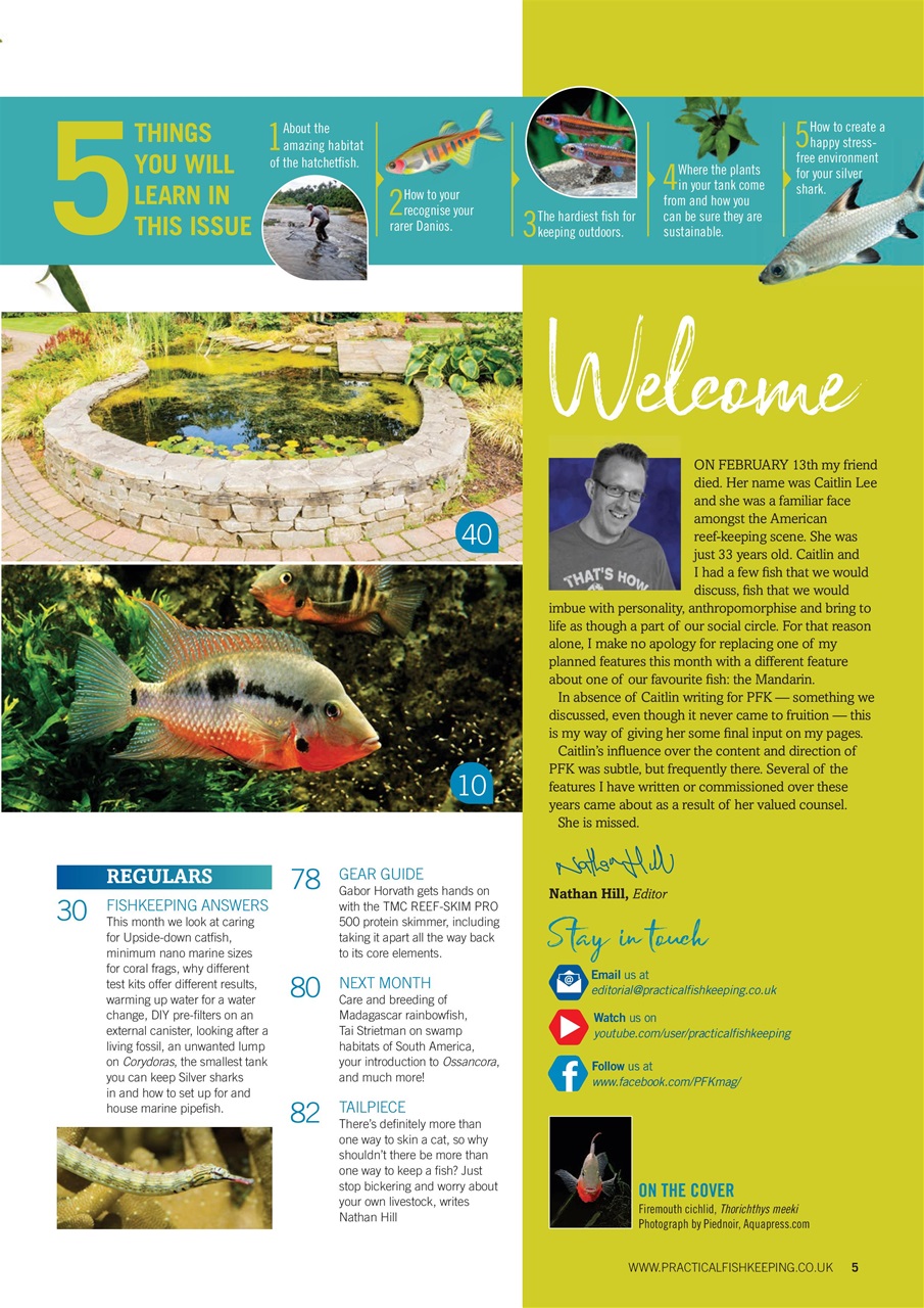 Practical Fishkeeping Preview Pages