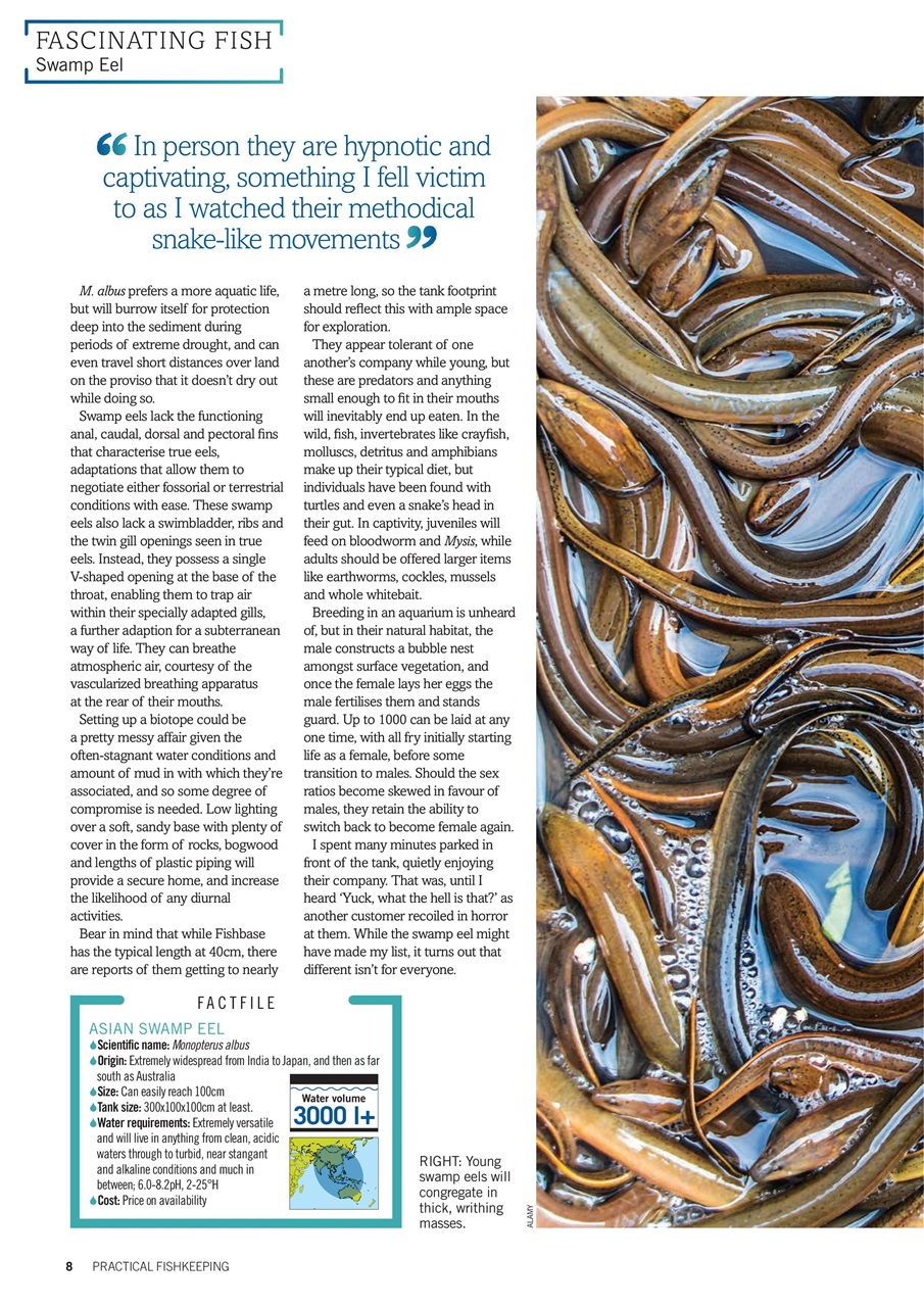 Practical Fishkeeping Preview Pages