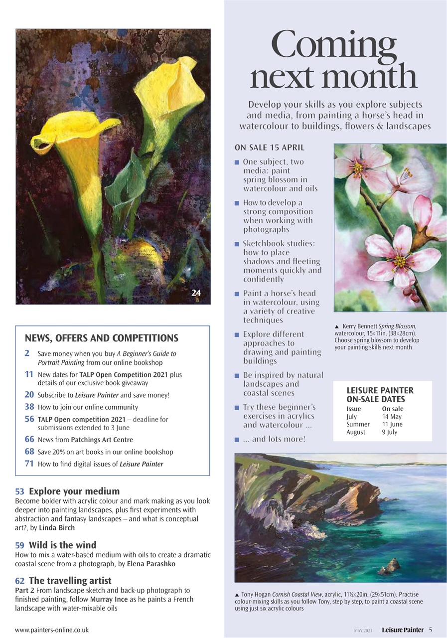 Leisure Painter & The Artist Preview Pages