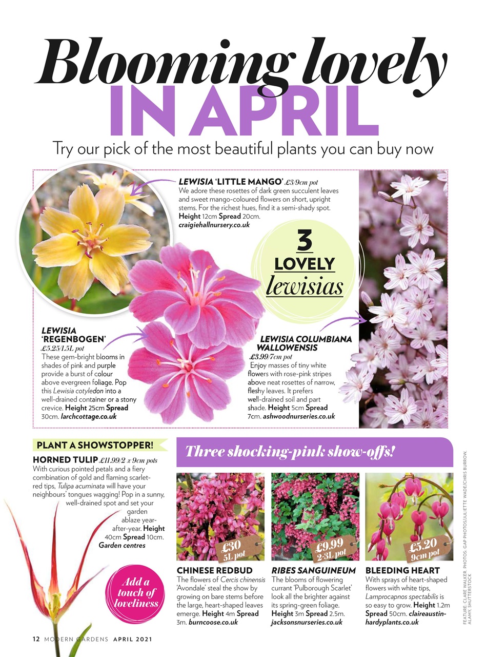 Modern Gardens Preview Pages