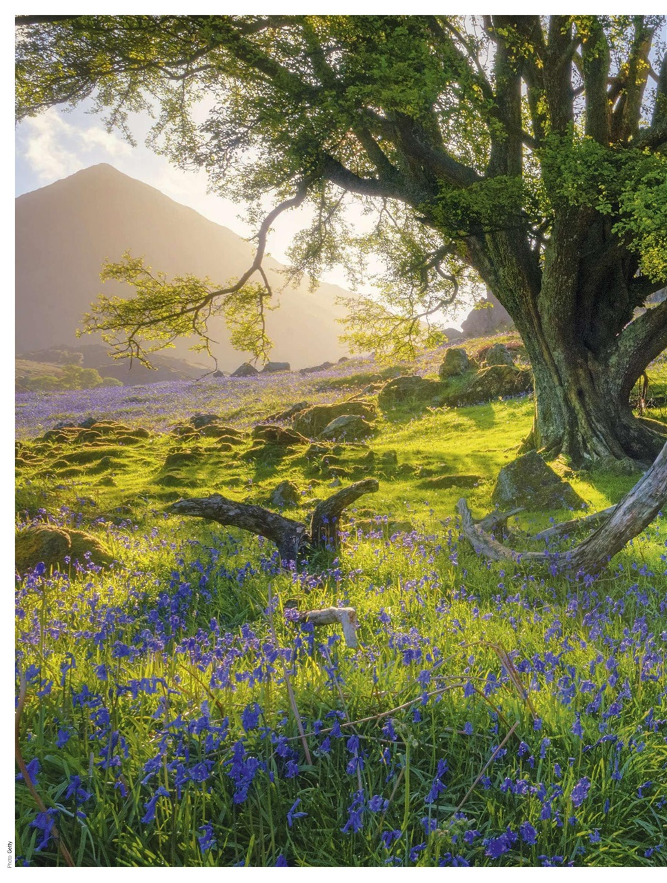 BBC Countryfile Magazine Preview Pages