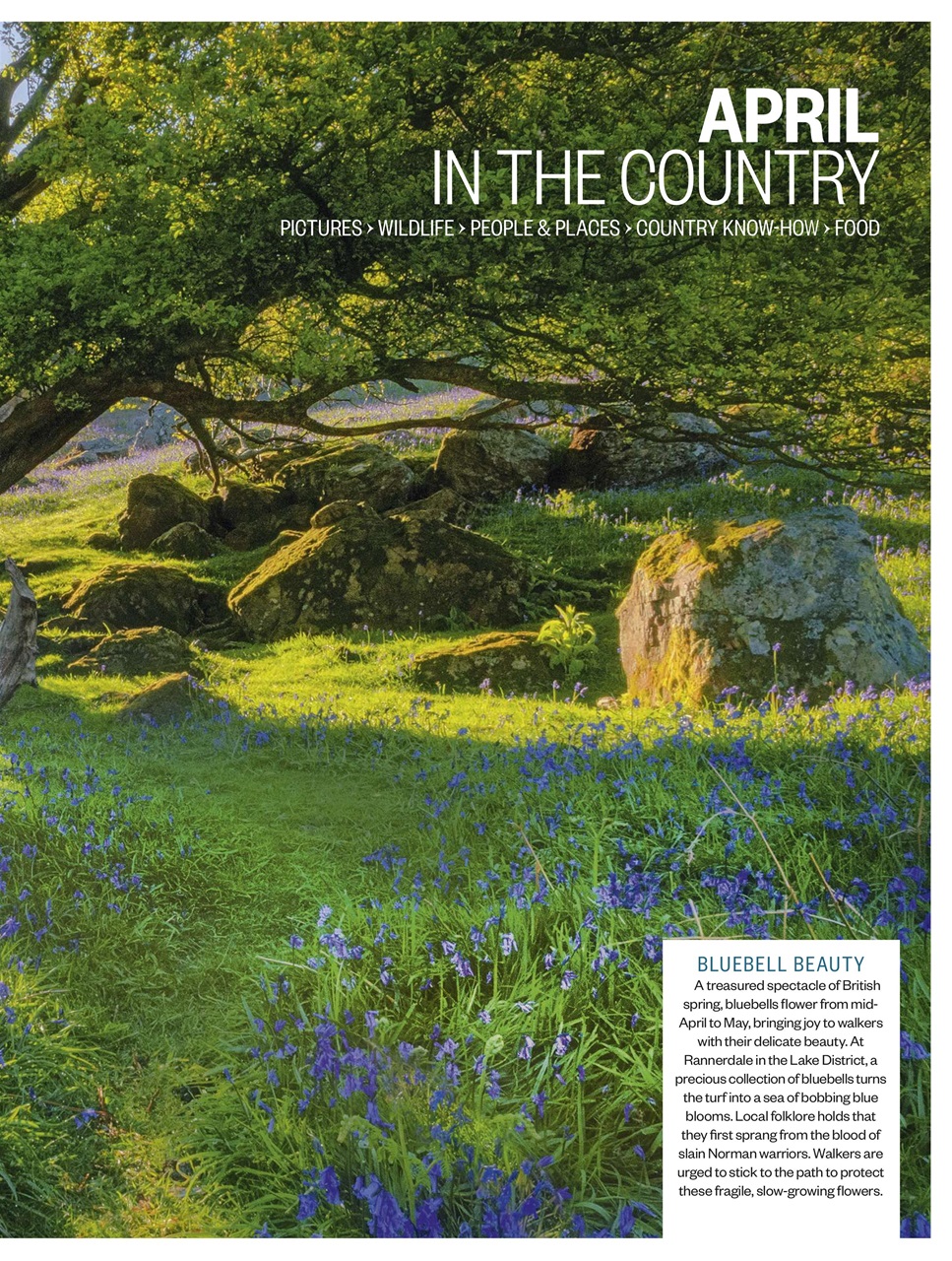 BBC Countryfile Magazine Preview Pages