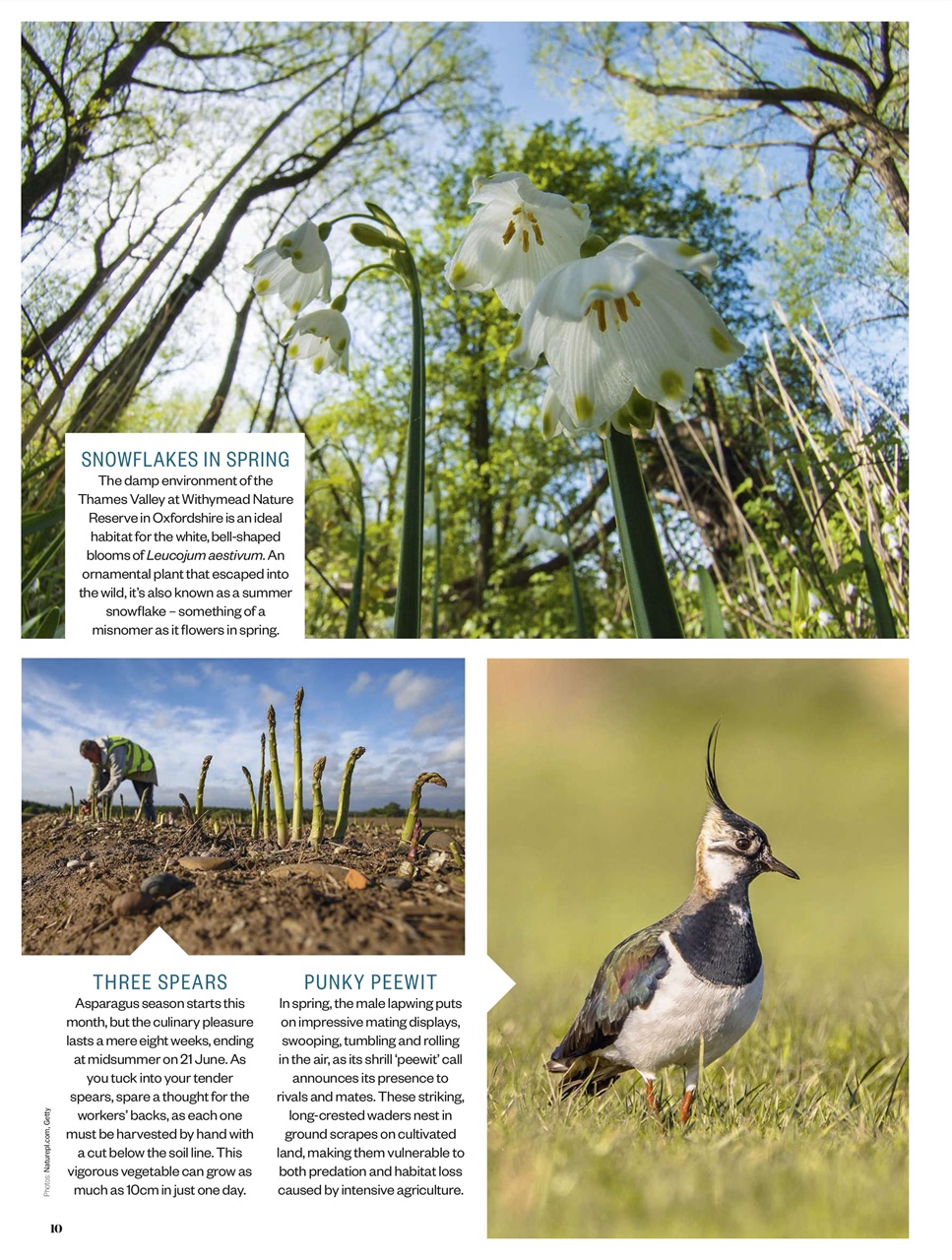 BBC Countryfile Magazine Preview Pages