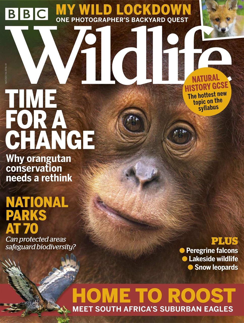 BBC Wildlife Magazine Preview Pages