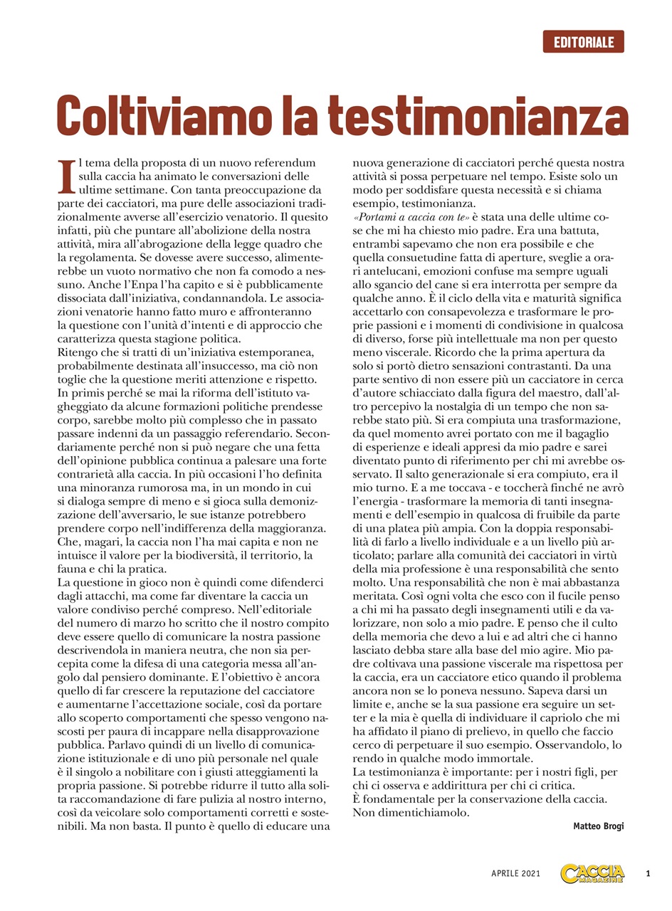 Caccia Magazine Preview Pages