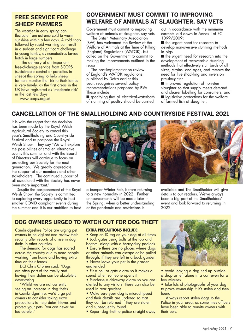 The Smallholder Preview Pages