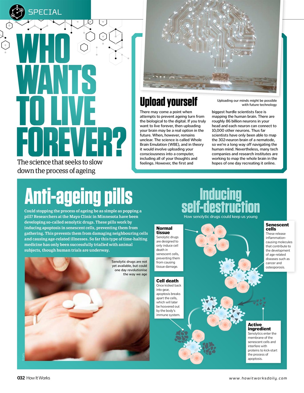 How It Works Preview Pages