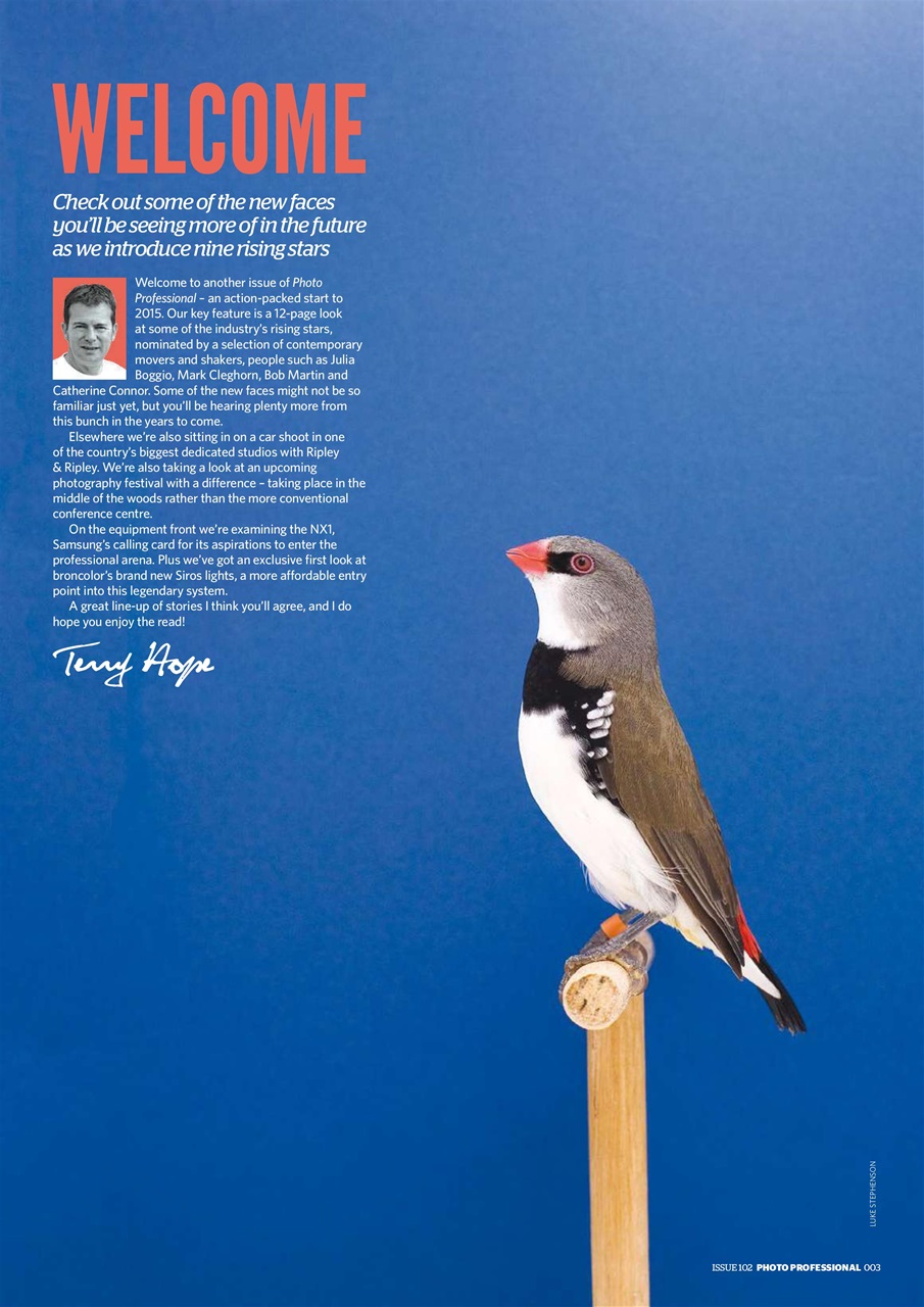 Professional Photo Preview Pages