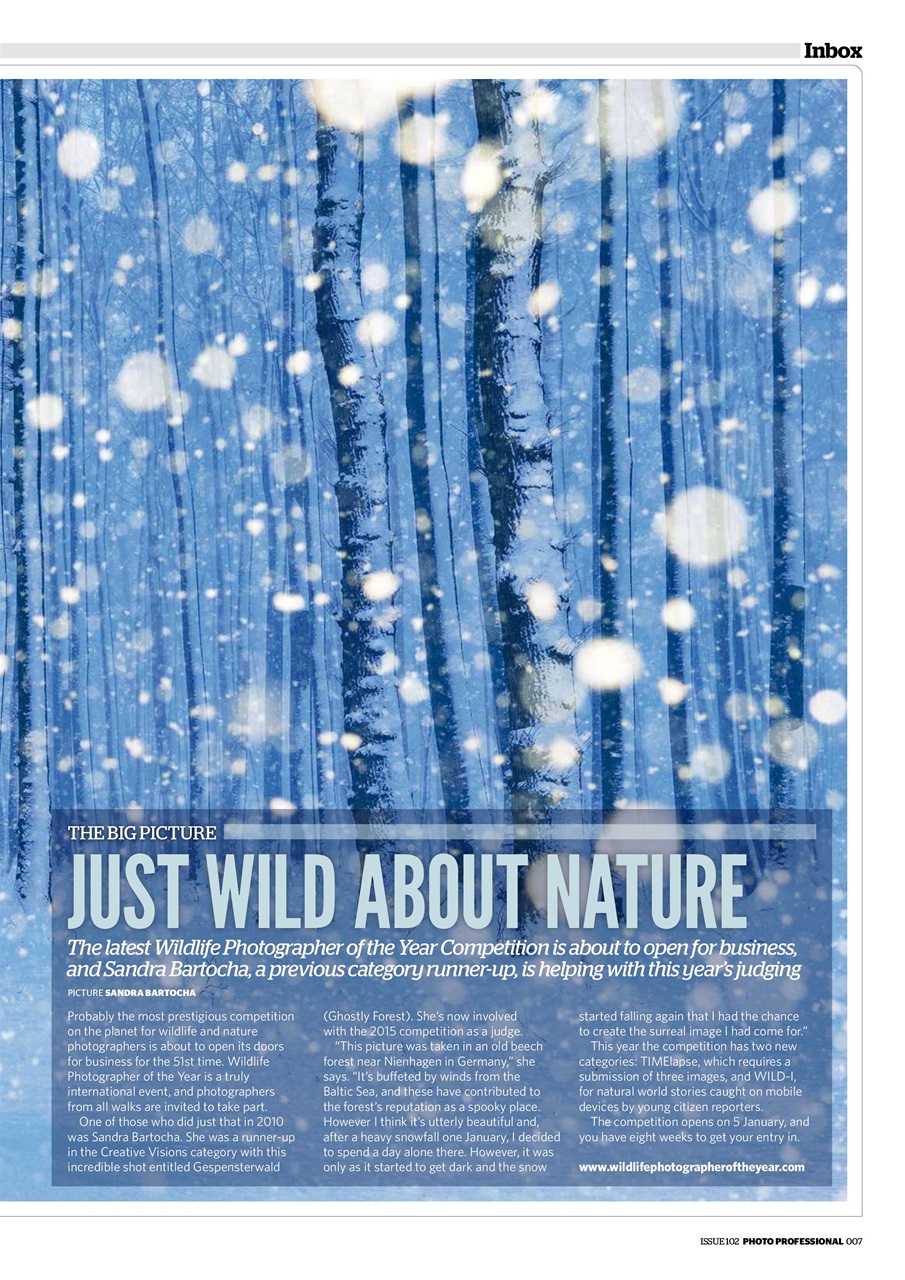 Professional Photo Preview Pages