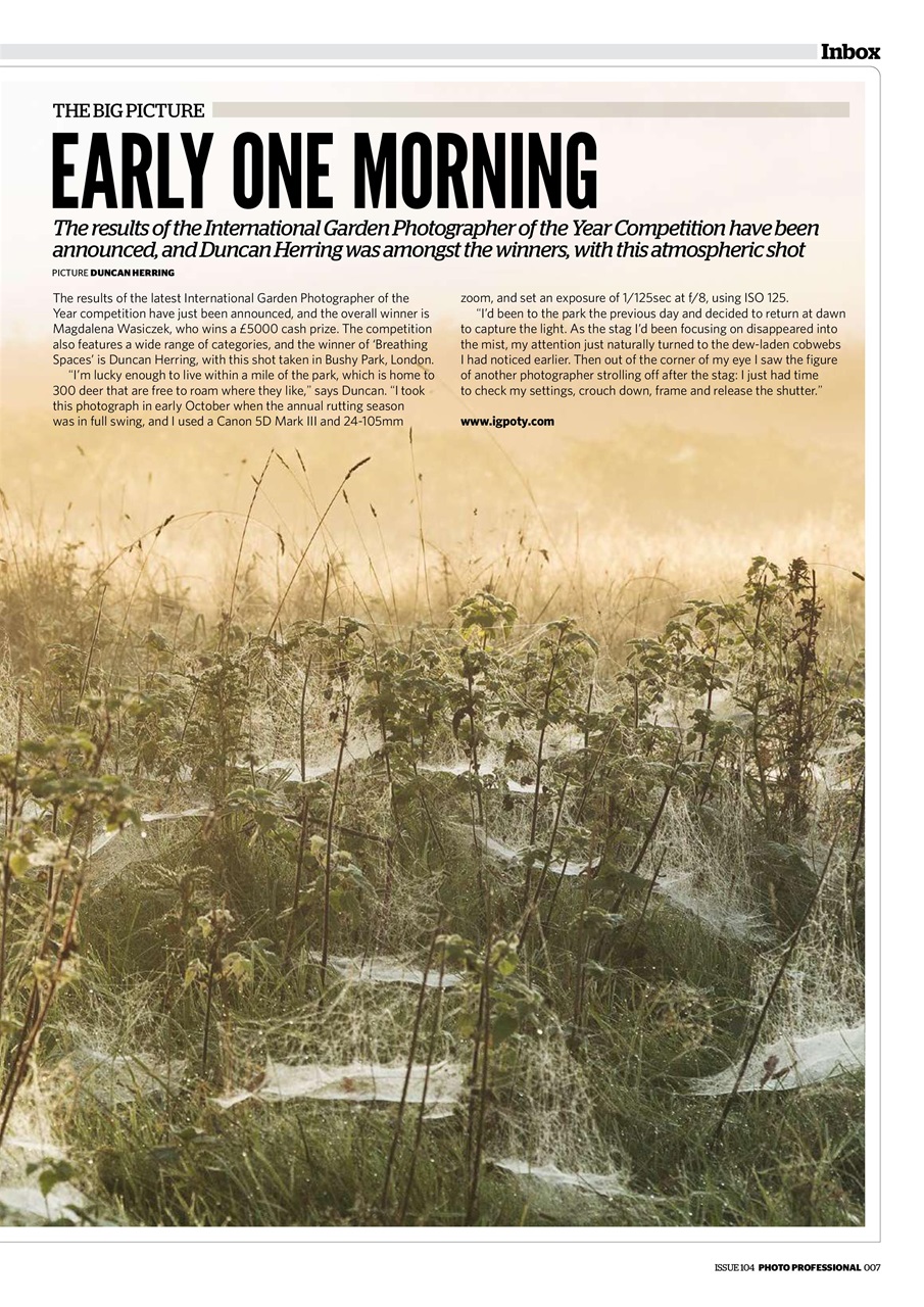 Professional Photo Preview Pages