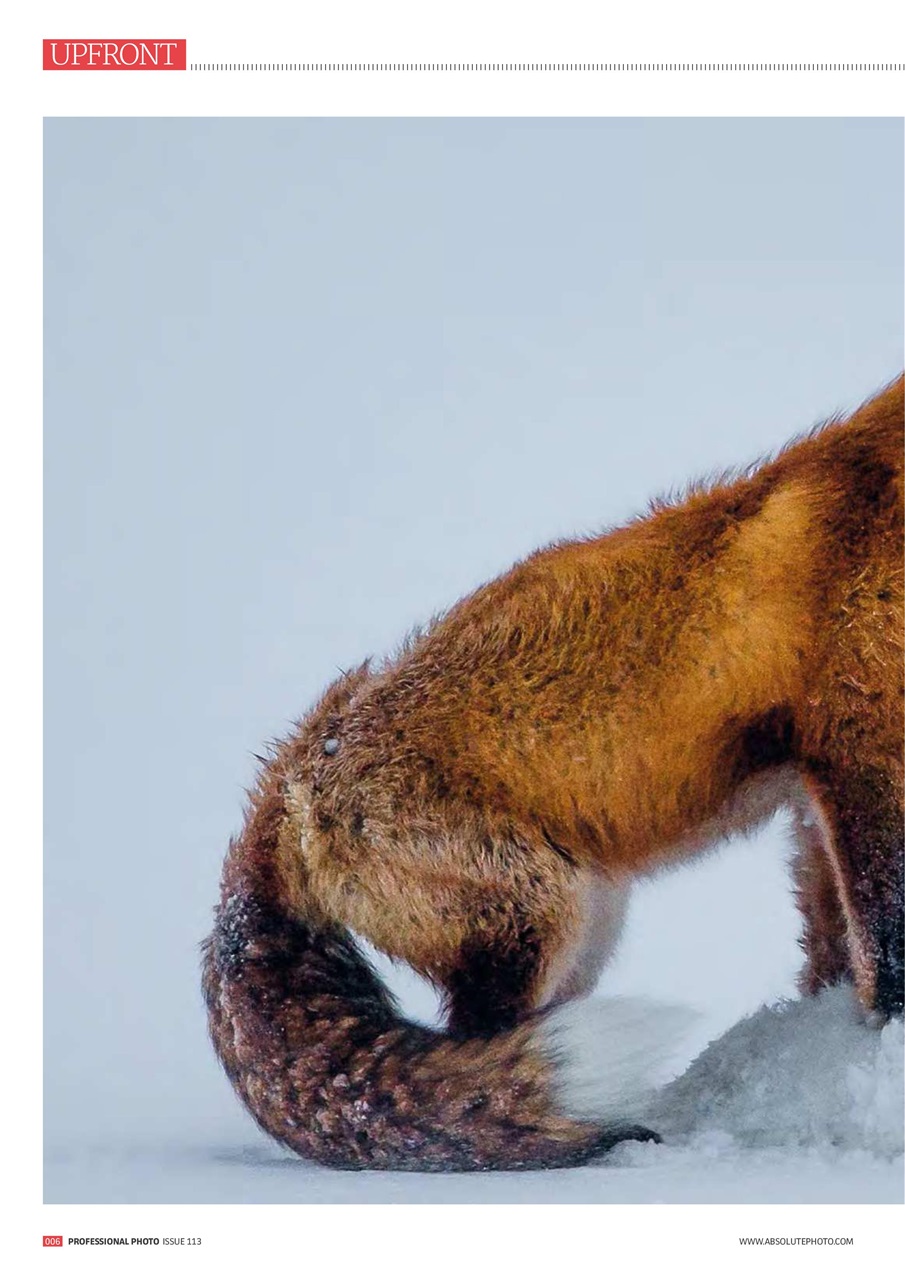 Professional Photo Preview Pages