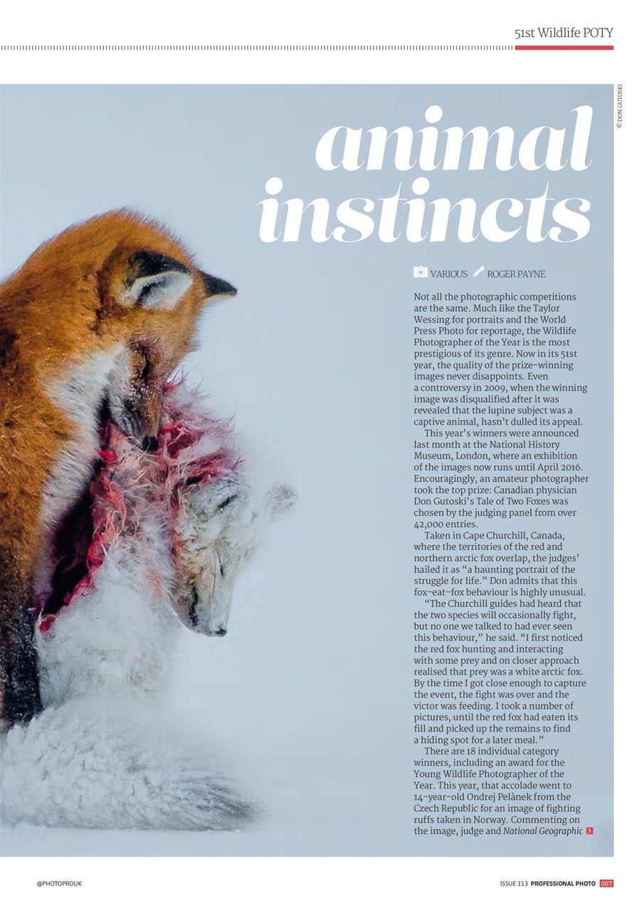 Professional Photo Preview Pages