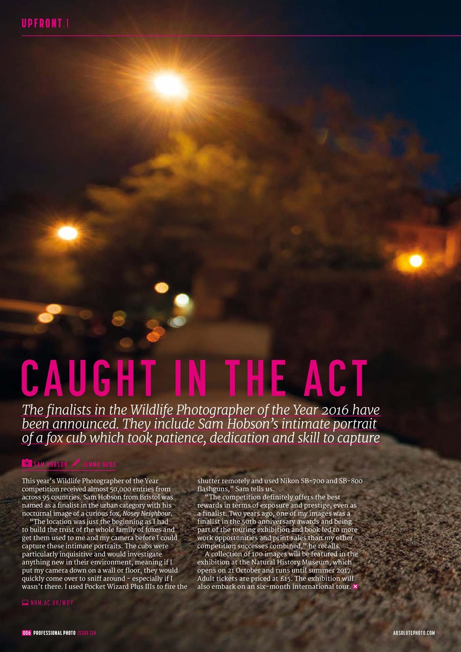 Professional Photo Preview Pages