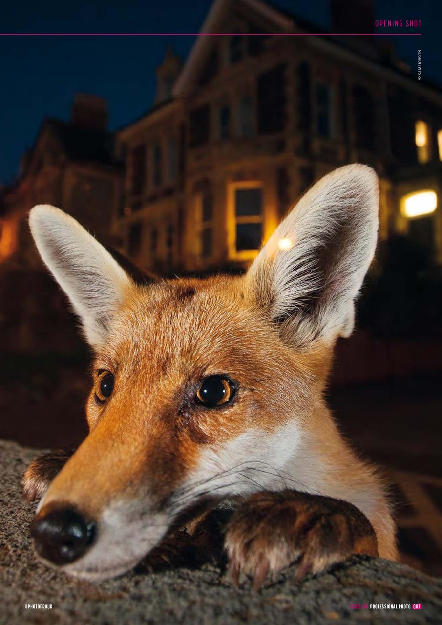 Professional Photo Preview Pages