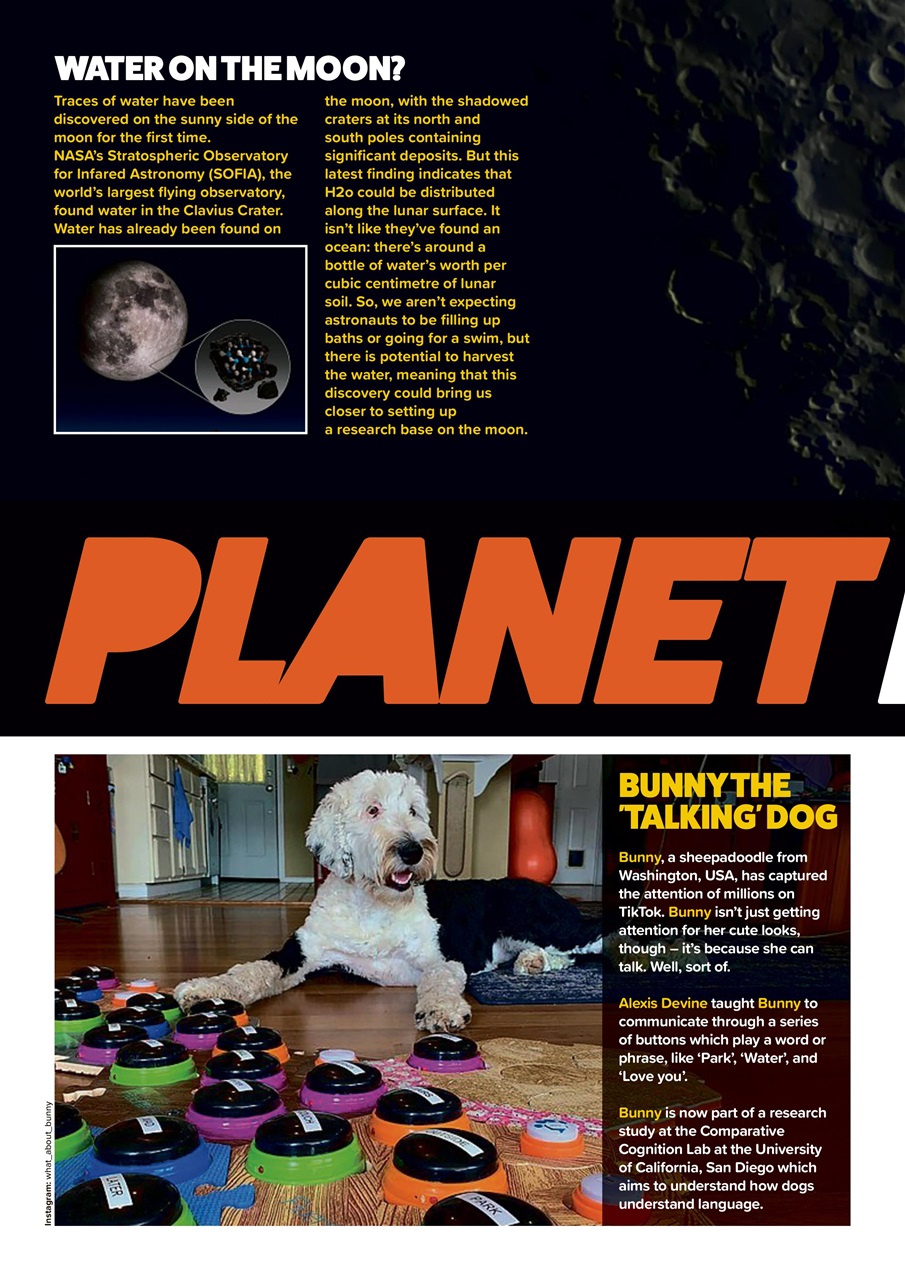 Animal Planet Kids Preview Pages