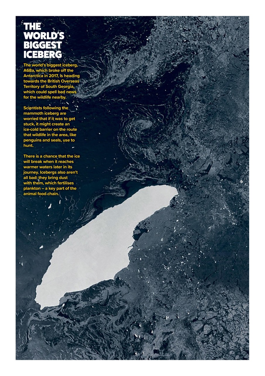 Animal Planet Kids Preview Pages