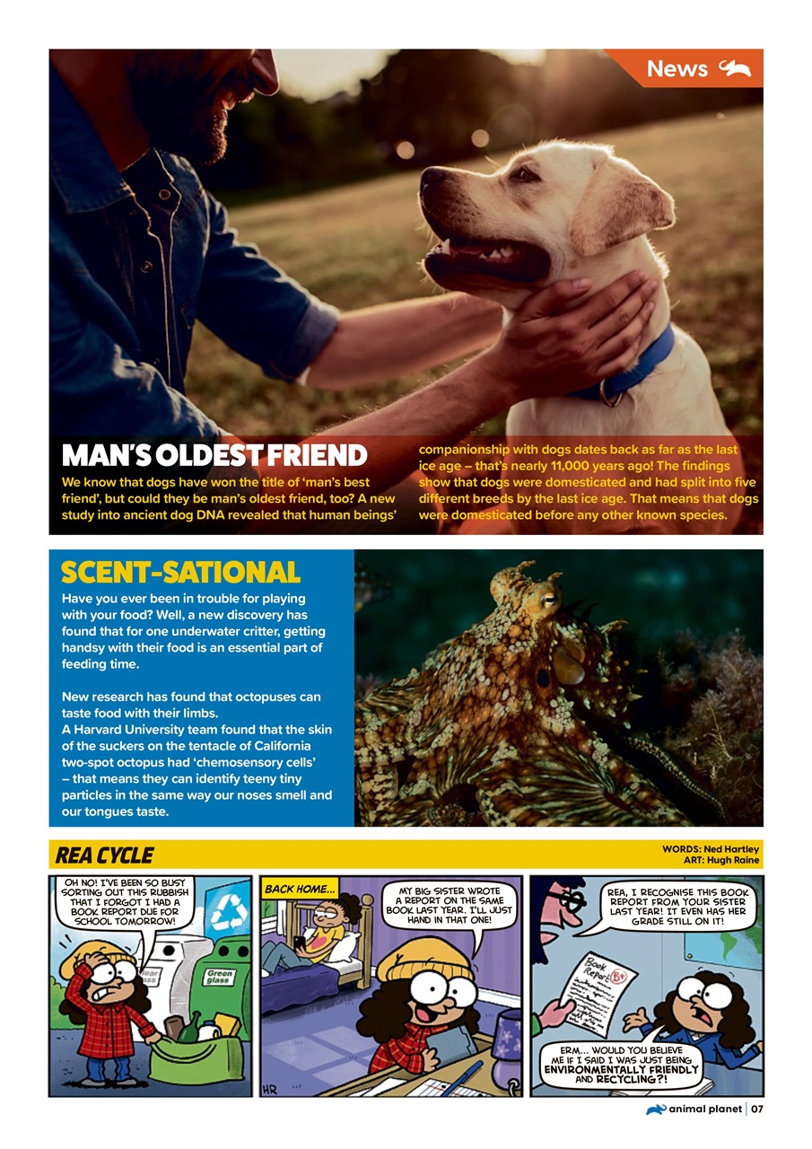 Animal Planet Kids Preview Pages