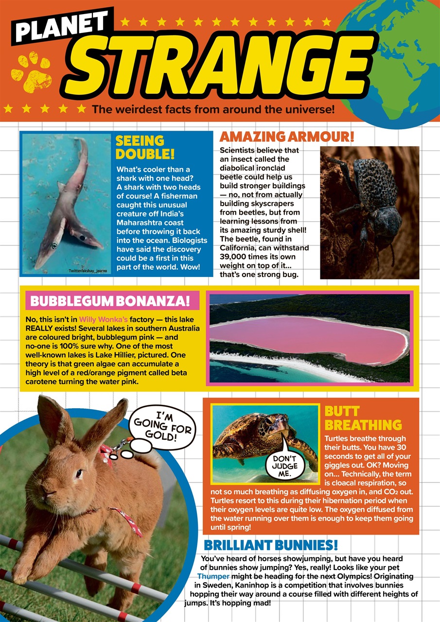 Animal Planet Kids Preview Pages
