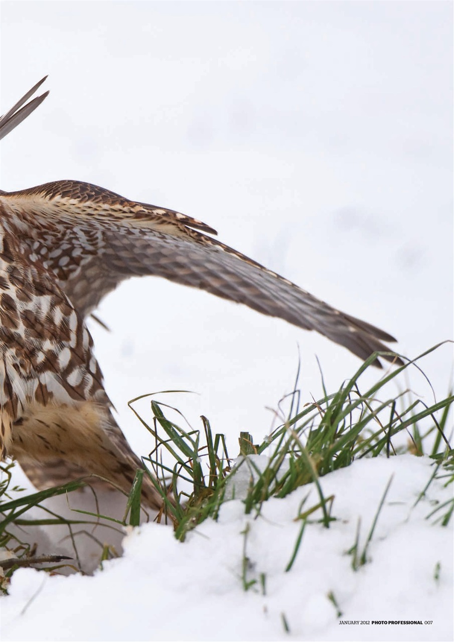 Professional Photo Preview Pages