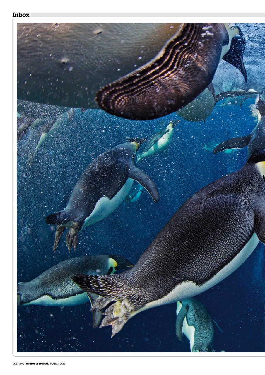 Professional Photo Preview Pages