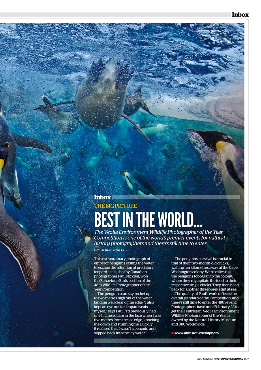 Professional Photo Preview Pages