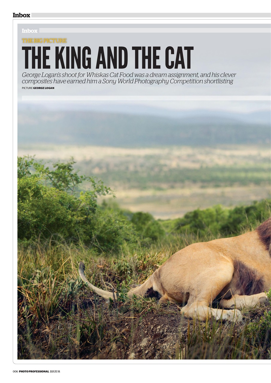 Professional Photo Preview Pages