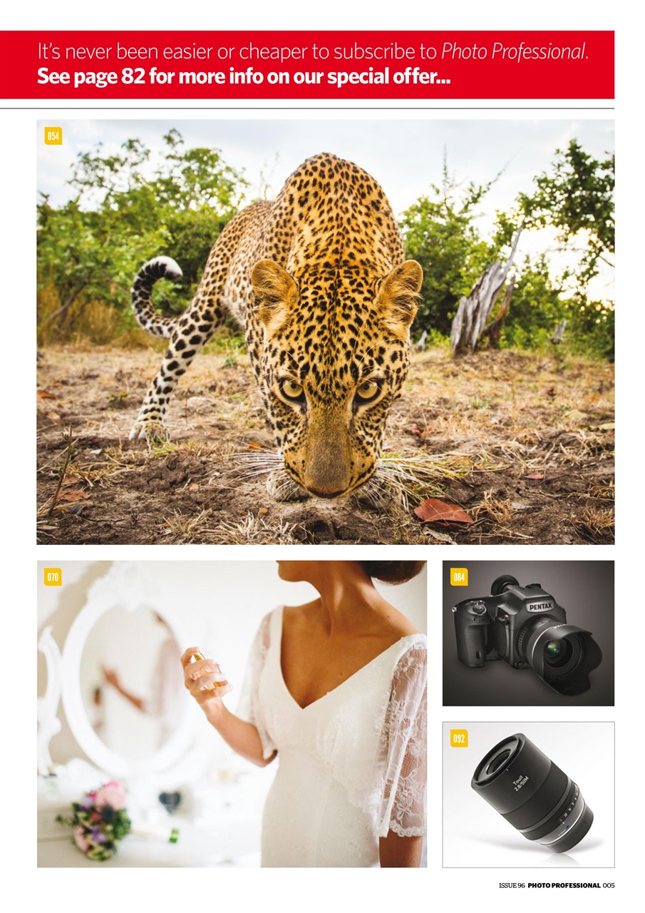 Professional Photo Preview Pages