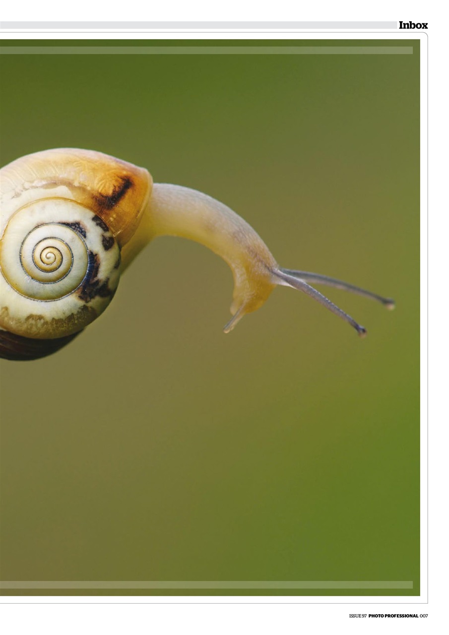 Professional Photo Preview Pages