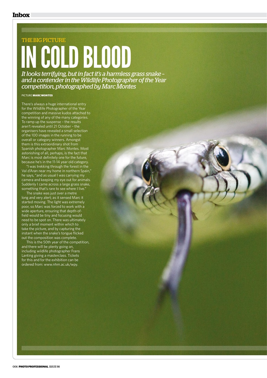 Professional Photo Preview Pages