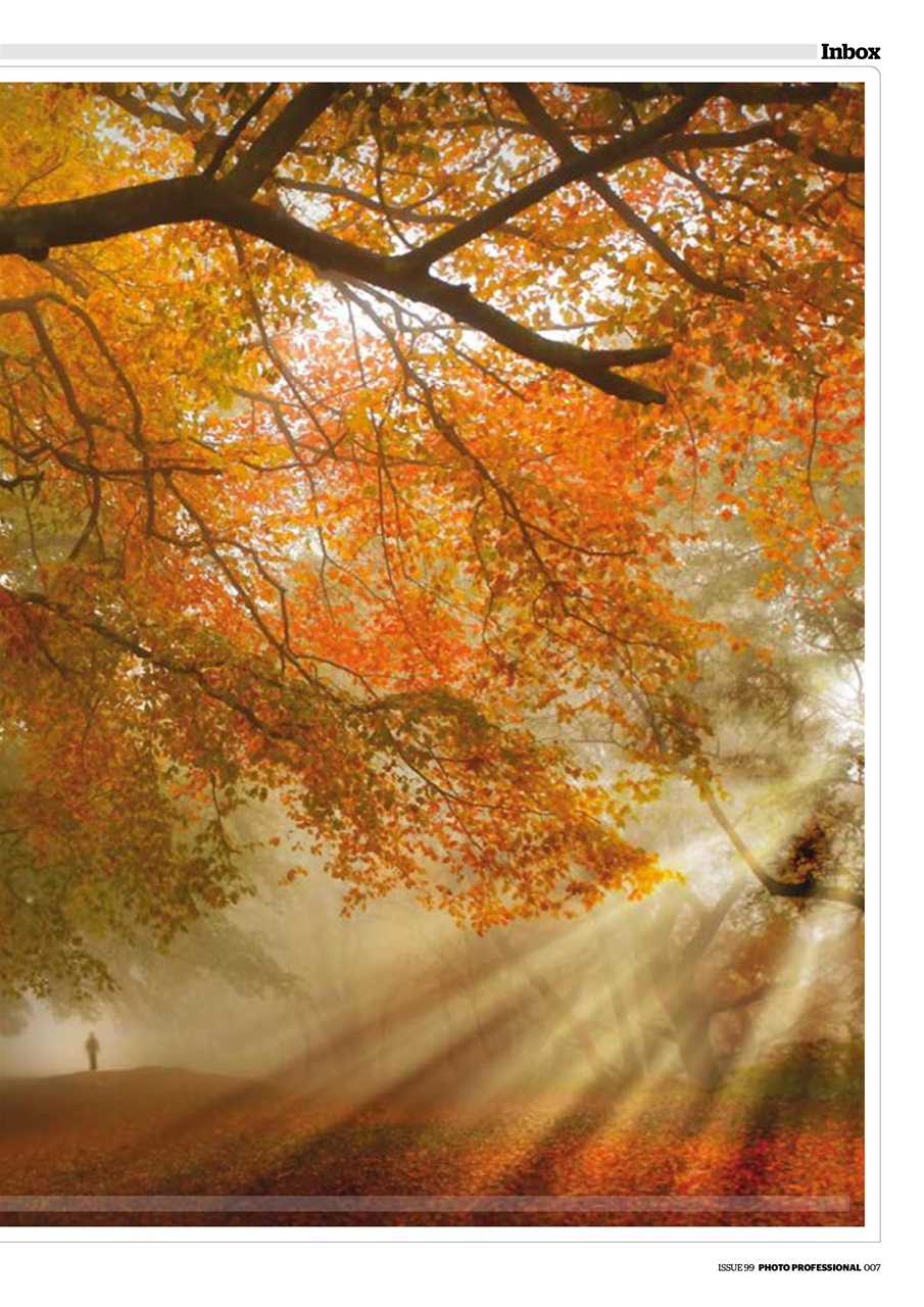 Professional Photo Preview Pages