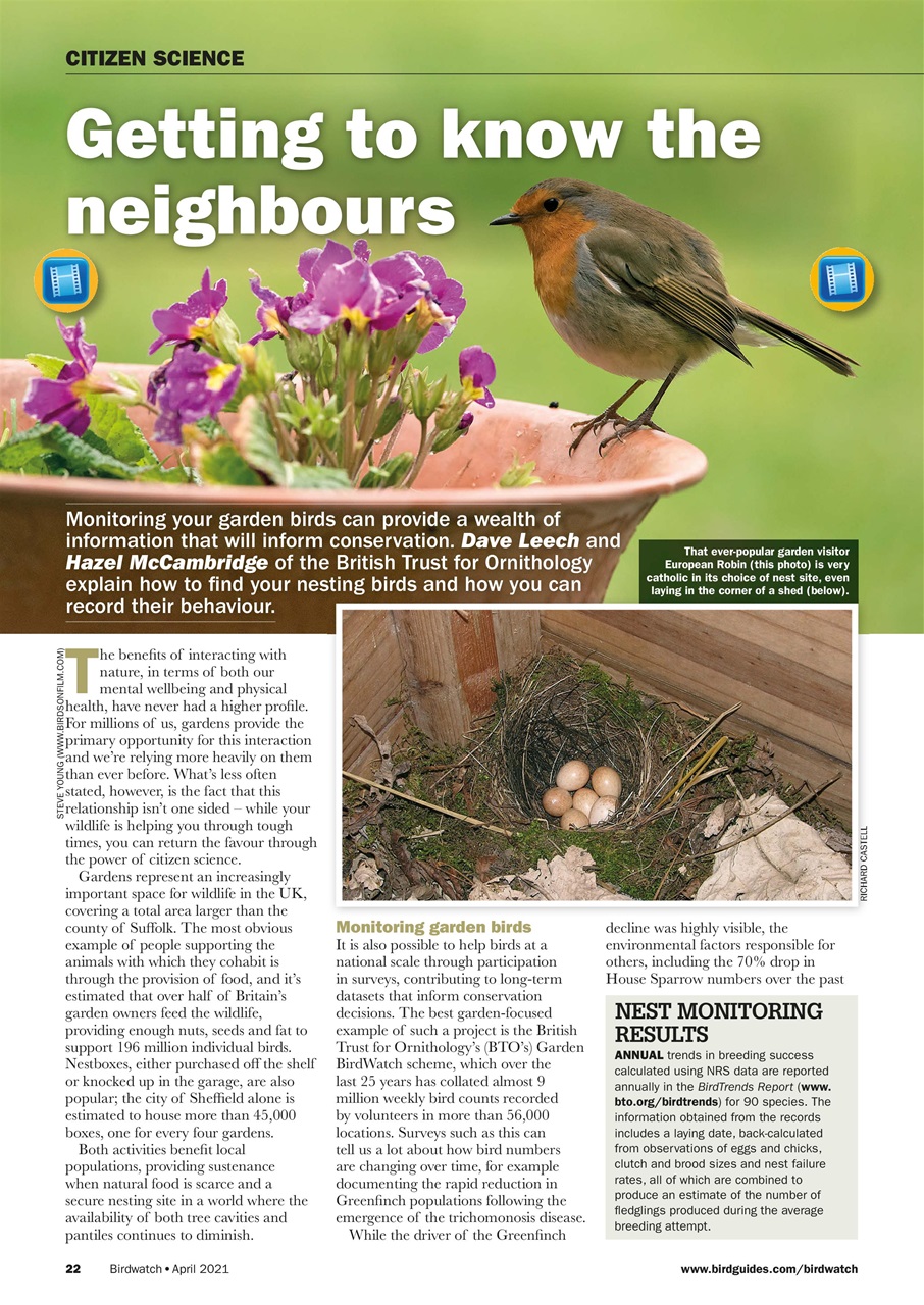 Birdwatch Magazine Preview Pages