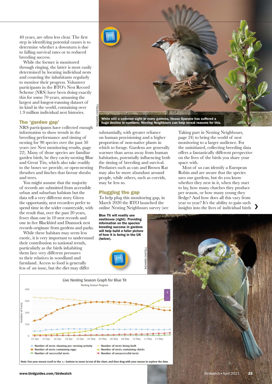 Birdwatch Magazine Preview Pages