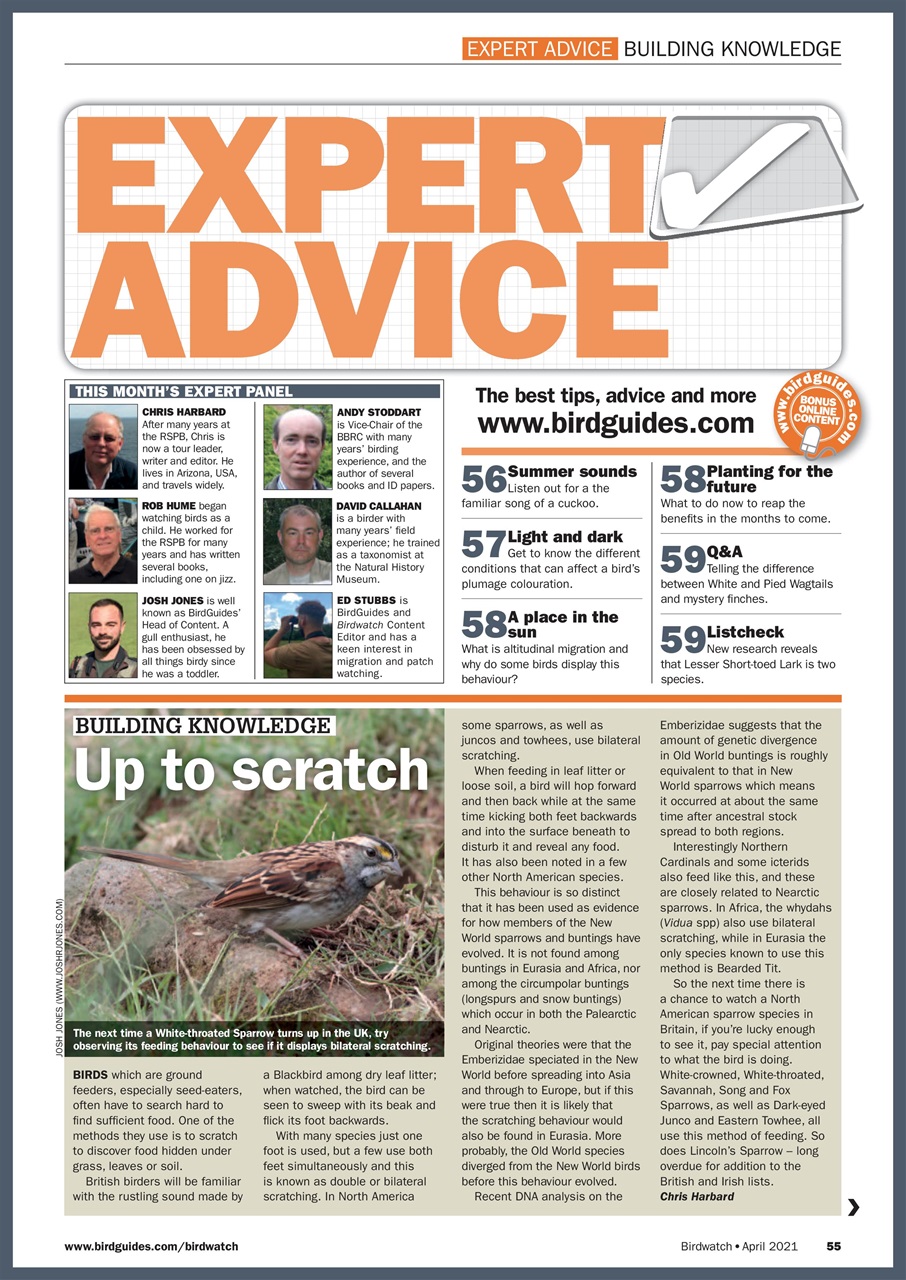 Birdwatch Magazine Preview Pages