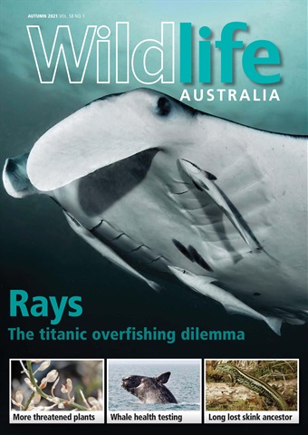 Wildlife Australia issue Wildlife Australia Magazine Autumn 2021
