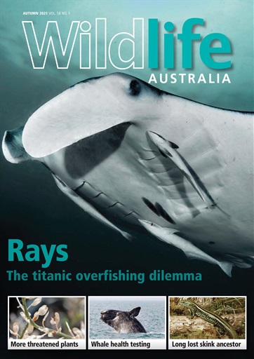 Wildlife Australia issue 