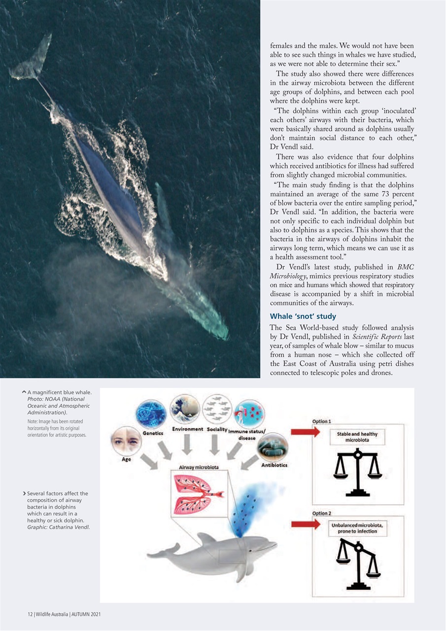 Wildlife Australia Preview Pages