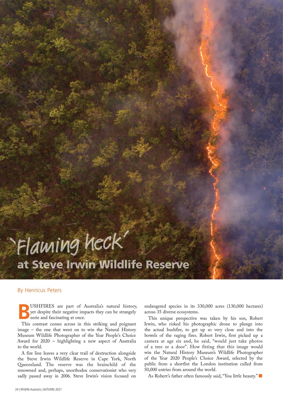 Wildlife Australia Preview Pages