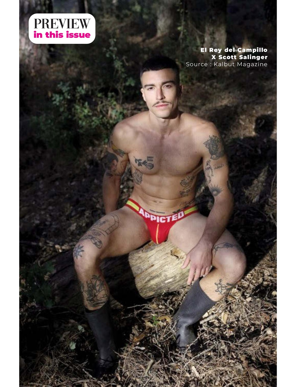 MM in English Preview Pages