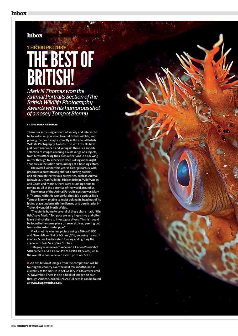 Professional Photo Preview Pages