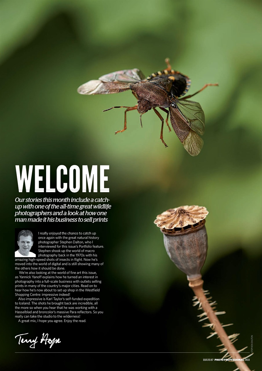 Professional Photo Preview Pages