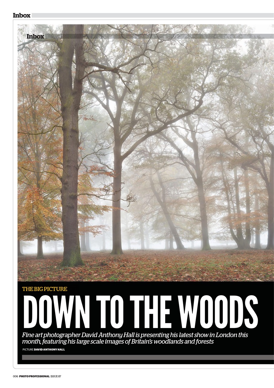 Professional Photo Preview Pages