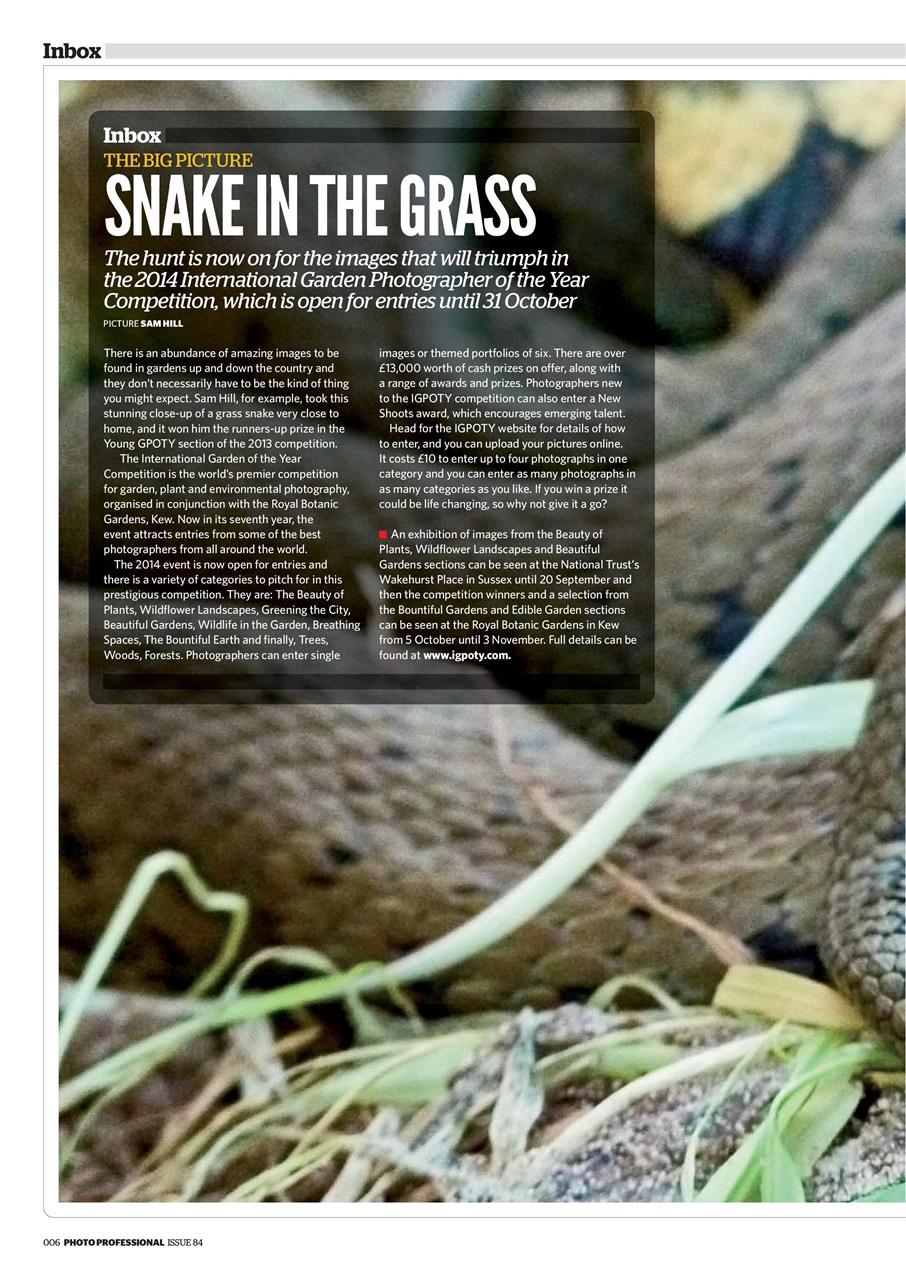 Professional Photo Preview Pages